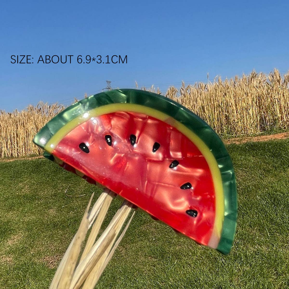 New Simple Fruit Grabber