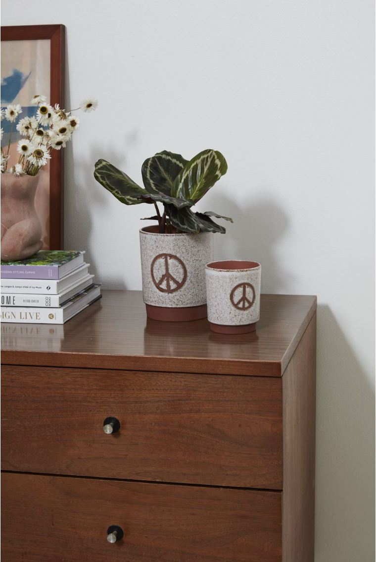 Amani Pot