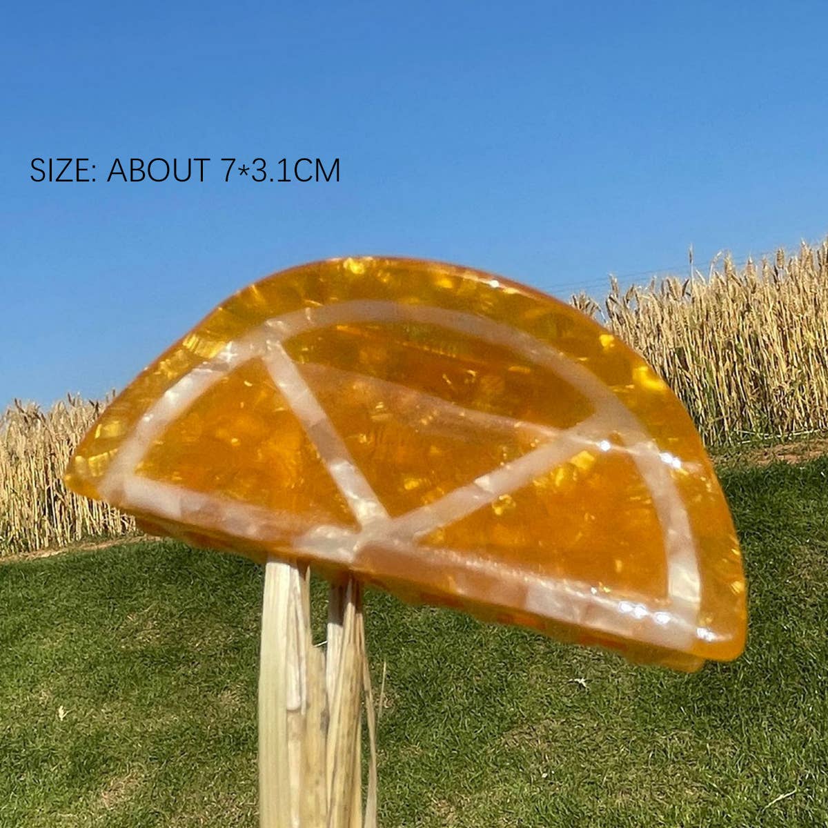 New Simple Fruit Grabber
