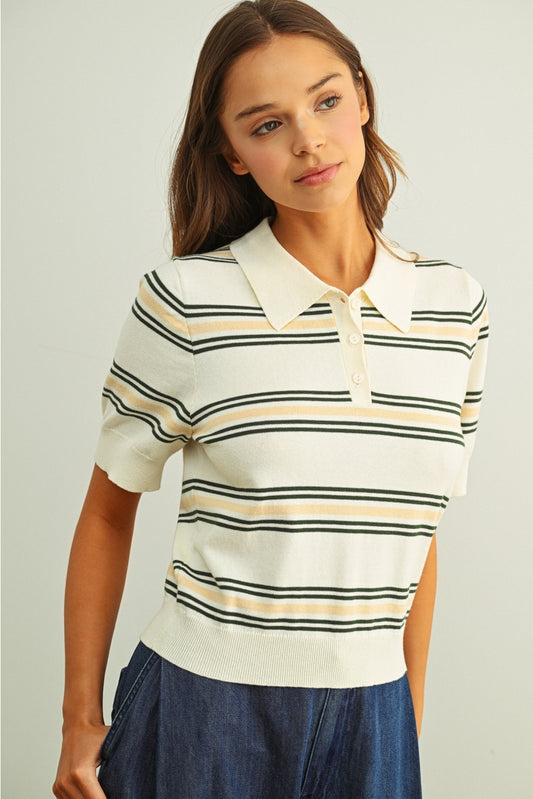 Multi Color Stripe Polo Shirt
