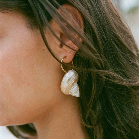 Shell Earrings